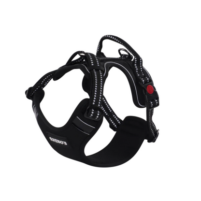 Black rhinos harness.