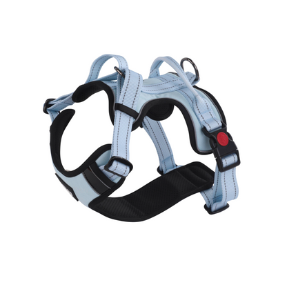 Rhino’s Pet Hold ‘Em Harness in Blue side view assembled. 