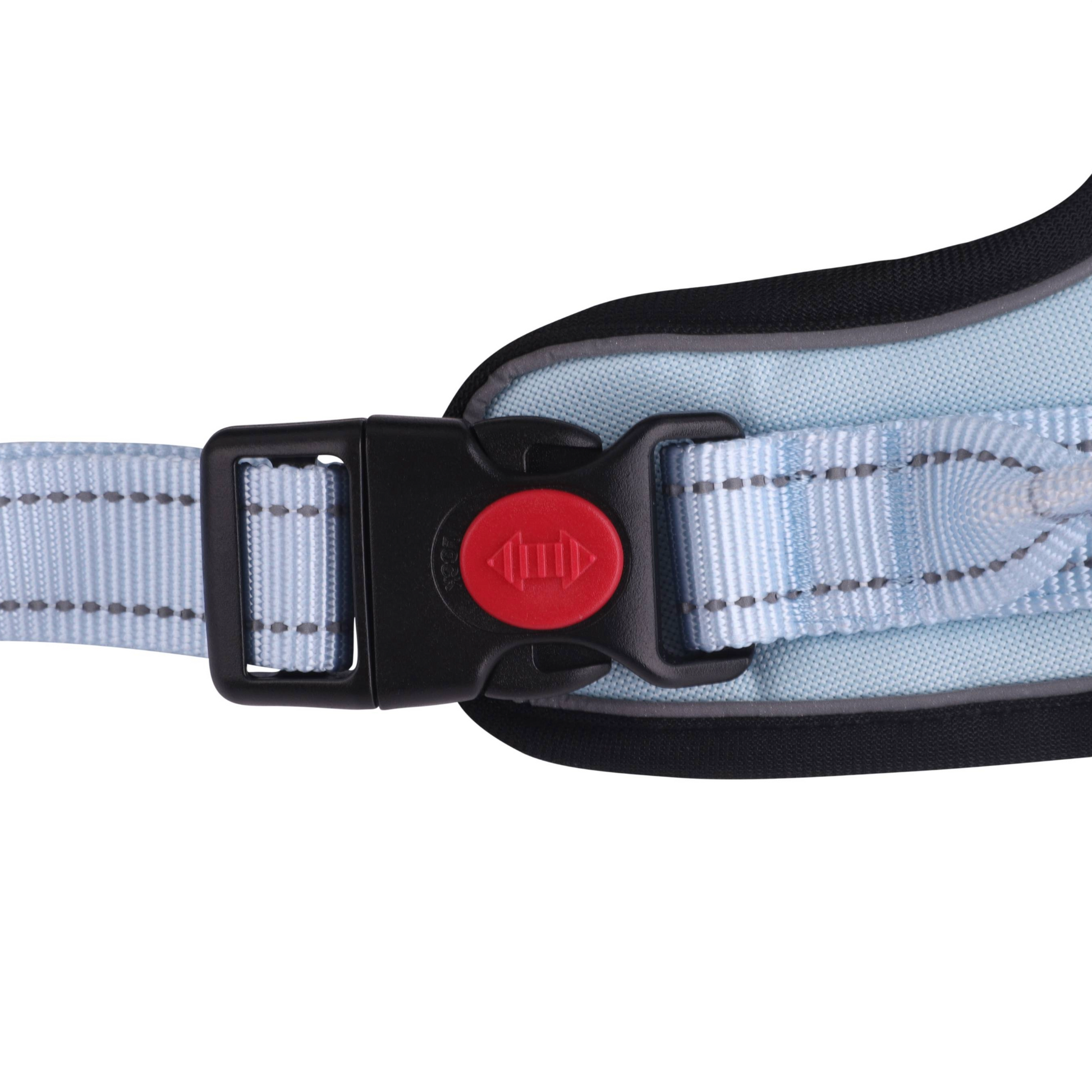 Rhino’s Pet Hold ‘Em Harness in Blue plastic locking hardware view.