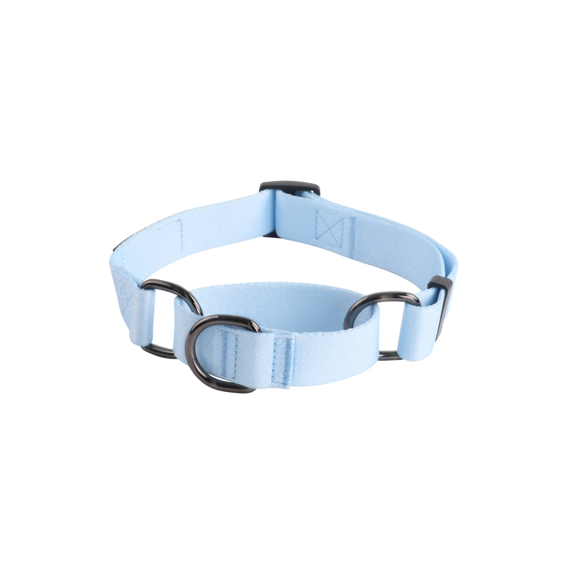 Martingale collar in blue rear view showing metal and plastic hardware and attachment points. 