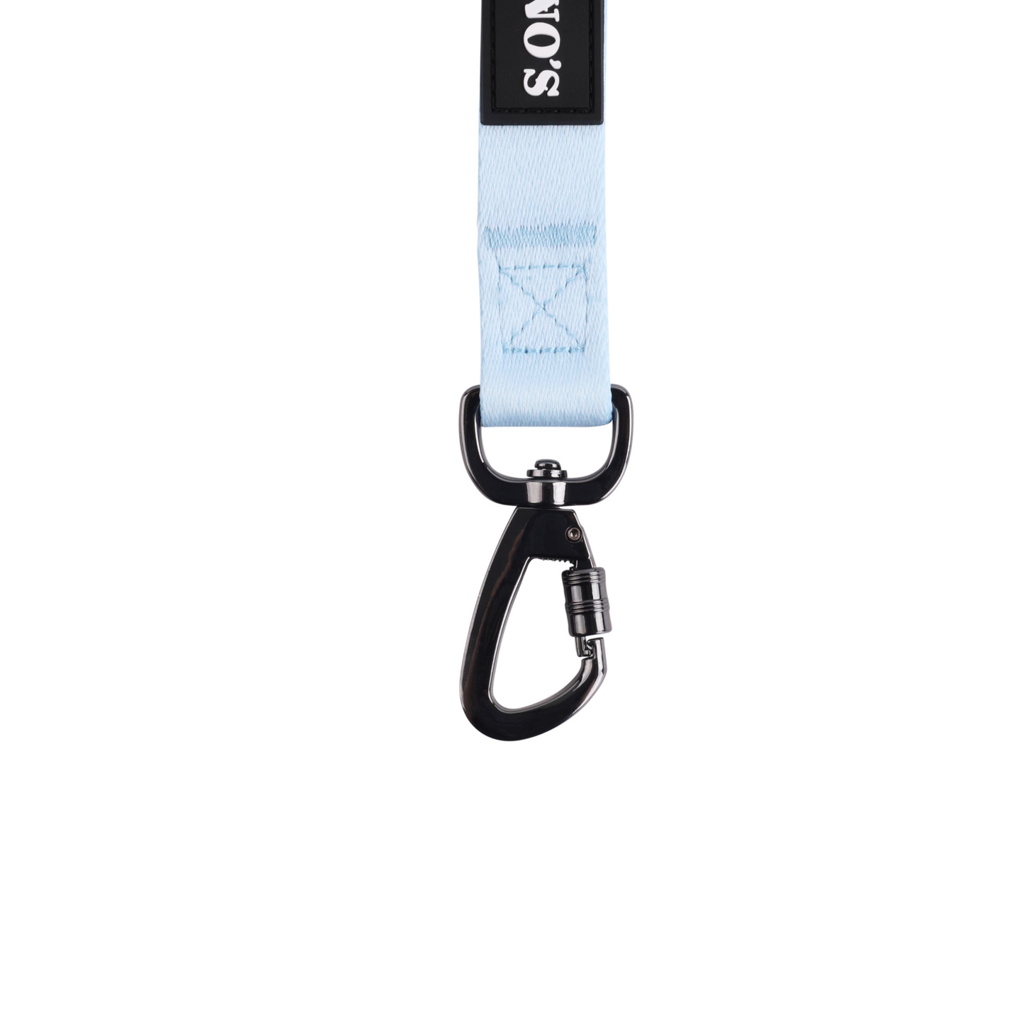 Image of blue leash attachment hardware and locking features.